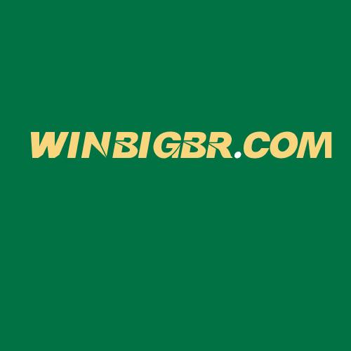 Logo da WINBIGBR